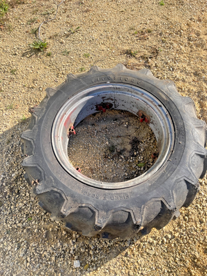 #ad #ad Tractor 13.6 28 Tire amp; Rim 8n 800 TO30 IH 300 $150.00