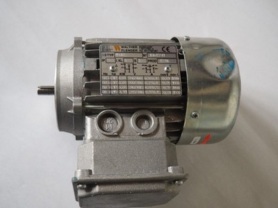 WALTER FLENDER Motor Typ  M56B4