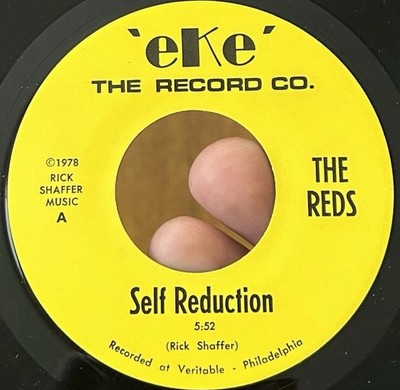 THE REDS Self Reduction 45 EKE Pic Sleeve NM* RARE Power Pop Punk KBD