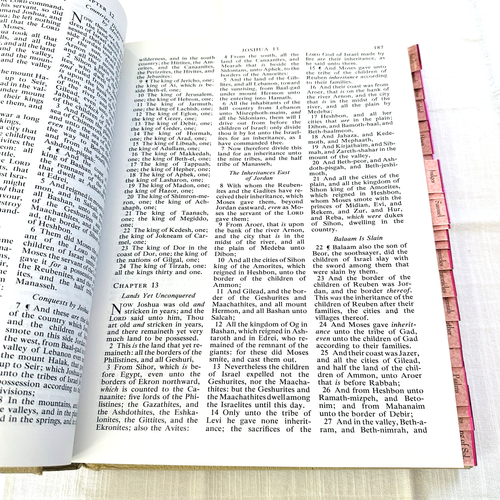 VTG Holy Bible King James Version 1965 Christian Old & New Testaments w/ Tabs - Picture 10 of 17
