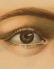 John Derian Picture Book by John Derian -  Hardcover NEW