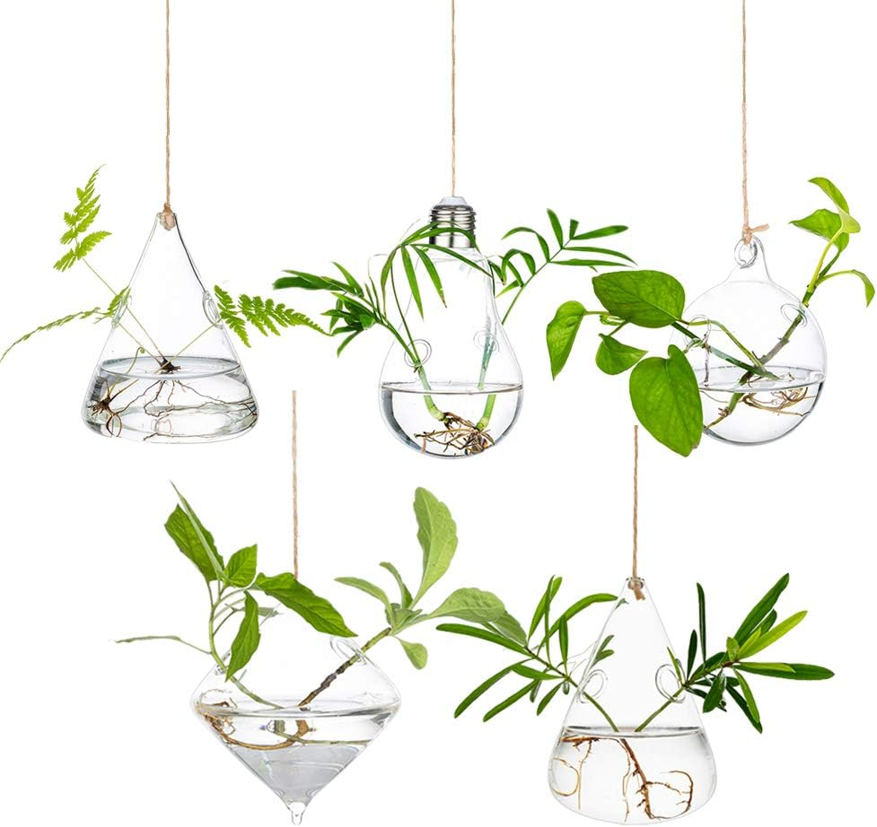 Hanging Planters Glass Terrarium: 5Pcs Modern Plant Propagation Stations Hydropo