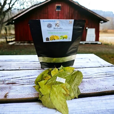 BRIT LANKA 3000+ Organic Dried Soursop Leaves🌿GraviolaTea| Ceylon Annona HOJAS DE UK Stock