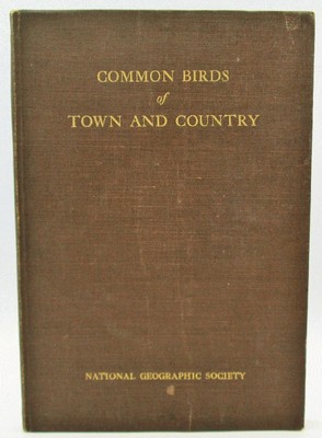 Common Birds of Town and Country
