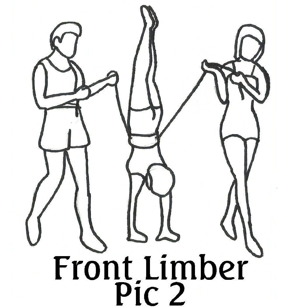 Spotting Belts Gymnastics Xlarge 3138 Inch Waist Olympia Sports