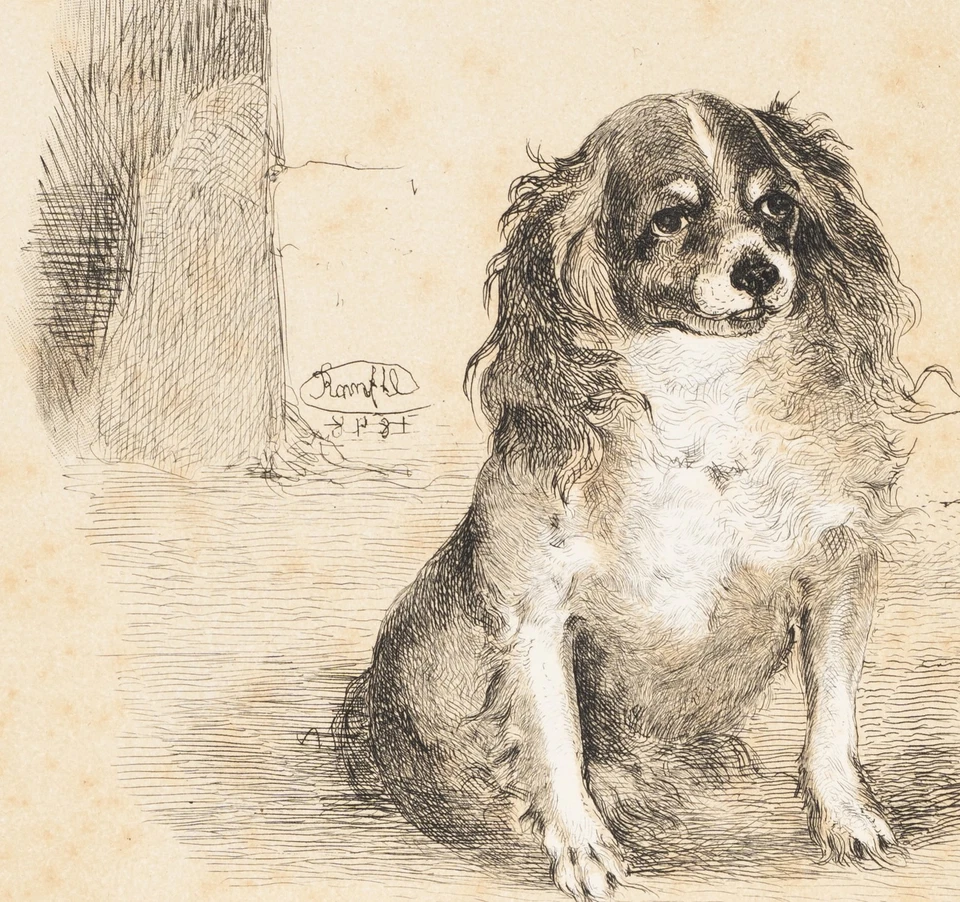 J. RANFTL (1805-1854), Zwei kleine Hunde,  1848, Radierung Romantik Tiere - Bild 4 von 4