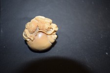 Drache auf einer Muschel, Japan, Taguanuss, signiert, fein geschnitzt, 50mm
