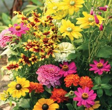 Butterfly Flower Garden Seed Mat 17x5 Butterfly Attracting Colorful Flowers