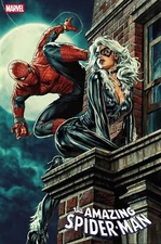 AMAZING SPIDERMAN 7 LEE BERMEJO BLACK CAT VARIANT NM vol 7 2025