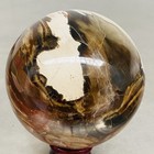 Natural Petrified Wood Polished Stone Quartz Crystal Sphere Ball Healing 1200G — photo 4