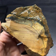 13oz Blue Mountain Orbicular Porcelain Picture of Jasper Pair Rough #04