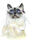 Birman #2 Cat Art Aceo Card Print by A Borcuk 2.5"x3.5"