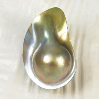 Mabe Blisterperle In Muschel Extreme Bunte Regenbogen Iridescent 7,39 G Cabochon