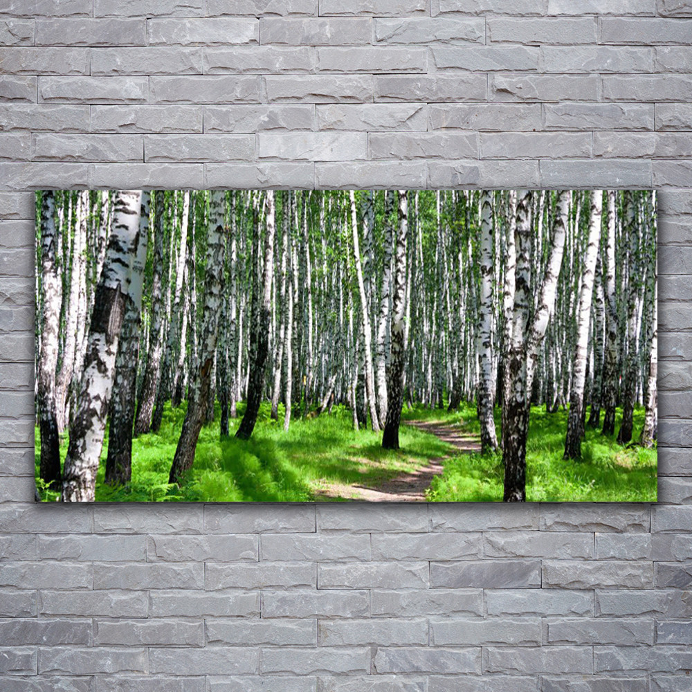 Impression sur verre acrylique 120x60 brillant et résistant aux UV nature