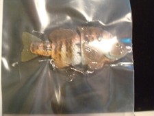 Mattlures Baby Hard gill with 4 colors and 2 Fall rates available new in pack