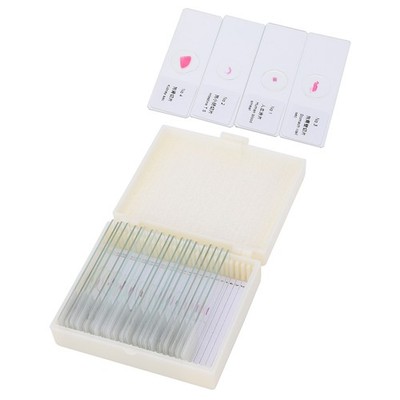 DW 25 25x Animal Slides Microscope Sample Slides Specimens For Science Educa HOT