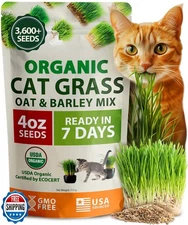 HOME GROWN Organic Cat-Grass Seed Mix (Oat and Barley) – 4 oz – Easy Indoor P