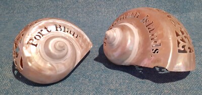 Paar antike Perlmutt geschnitzte & durchbohrte Muschelschalen
