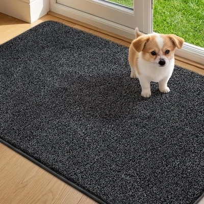 Fußmatte Innen 60 x 90 cm, Schmutzfangmatte für den Eingangsbereich, Türmatte...