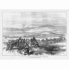 RUSSO-TURKISH WAR The Army of Mustapha Pasha - Antique Print 1877