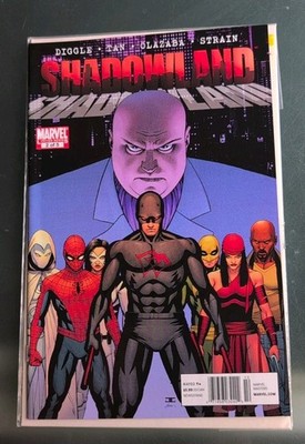 Shadowland #2 2010 Marvel Comics High Grade Comic Book (A5)