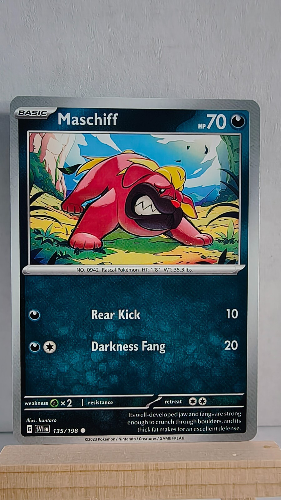 Maschiff [LP] - Pokemon TCG Scarlet & Violet Base 135/198 [Common]