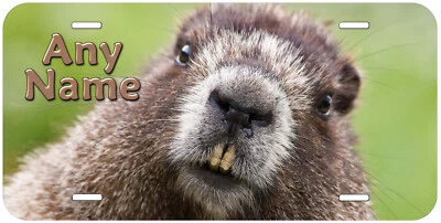 Marmot Any Name Personalized Novelty Car License Plate - Image 1 of 3