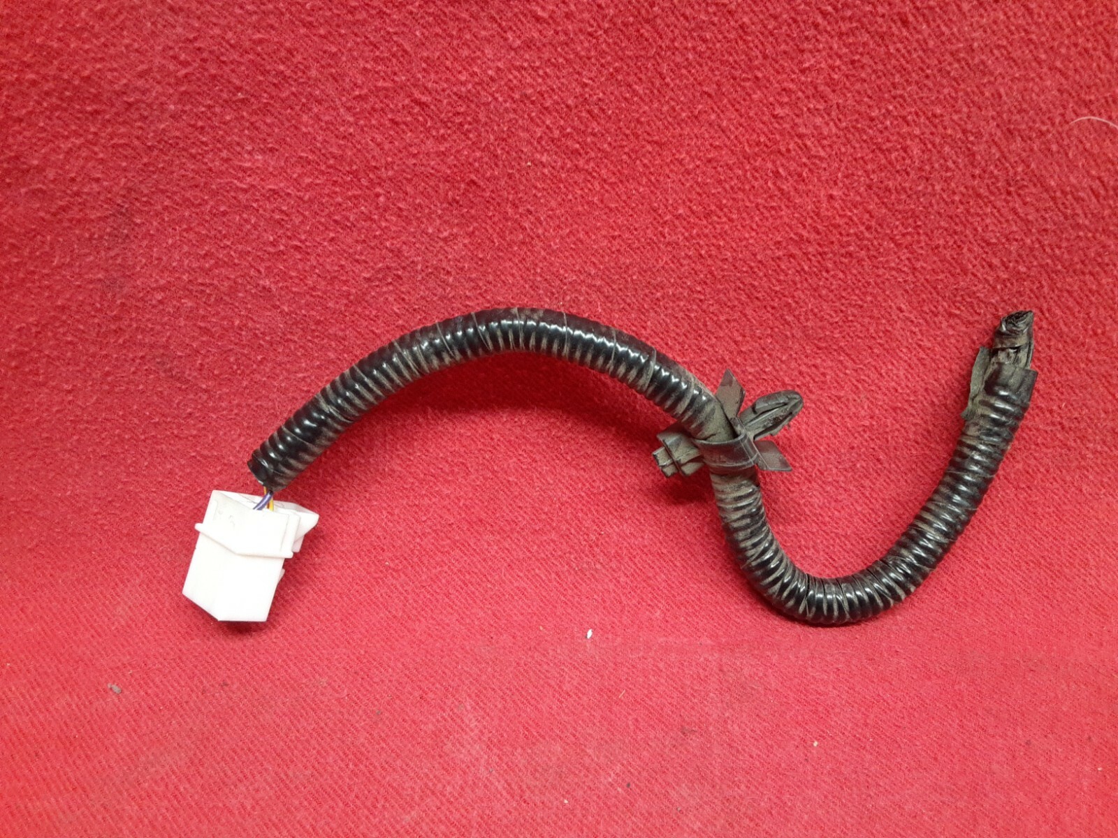 Picture 4