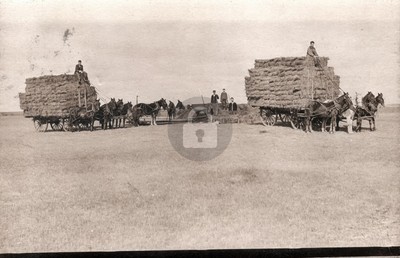 Stuart NE Nebraska Hay Rack Ride Farm Wagon RPPC c1910 Photo Postcard ...