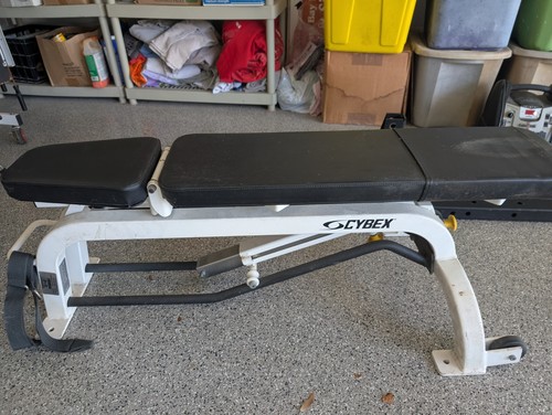 Rogue S Series Squat Rack With Bench and straight bar and bent bar.