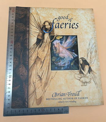 Good Faeries Brian Froud Paperback 2000 2nd Edition Pavilion Books