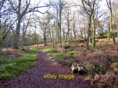 Photo 6x4 Path, Inchcailloch Balmaha With its ease of access, there is a  c2022