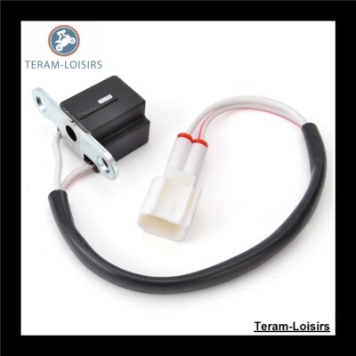 Cavo Contatore Per Yamaha YBR 125 Dal 2005 Al 2016 - TERAM LOISIRS, Ricambio Elettromeccanico - 4