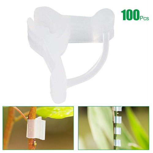 100Pcs Plant Support Clips Grafting Clips for Vegetable Fruit Trees Garden Tools - Picture 5 of 9