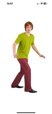 Men's Classic Scooby Doo Shaggy Costume