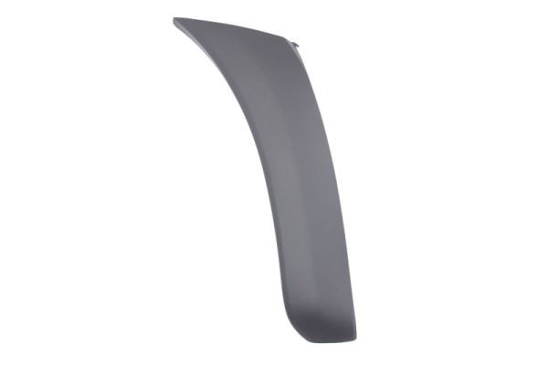 Right Front BLIC 5703-08-8179372P Trim/Protection Strip, wing for TOYOTA