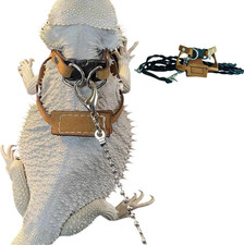 Bearded Dragon Harness and Leash Adjustable M,L,Xl - Soft Leather Reptile Lizar