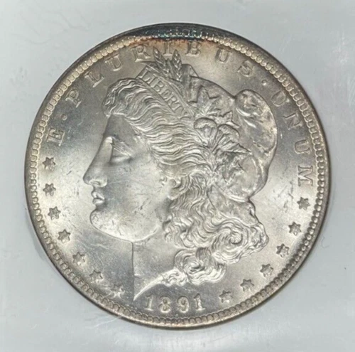 1891-CC MORGAN SILVER DOLLAR~NGC MS 65 ~BEAUTIFUL REGISTRY SET COIN~VAM 3
