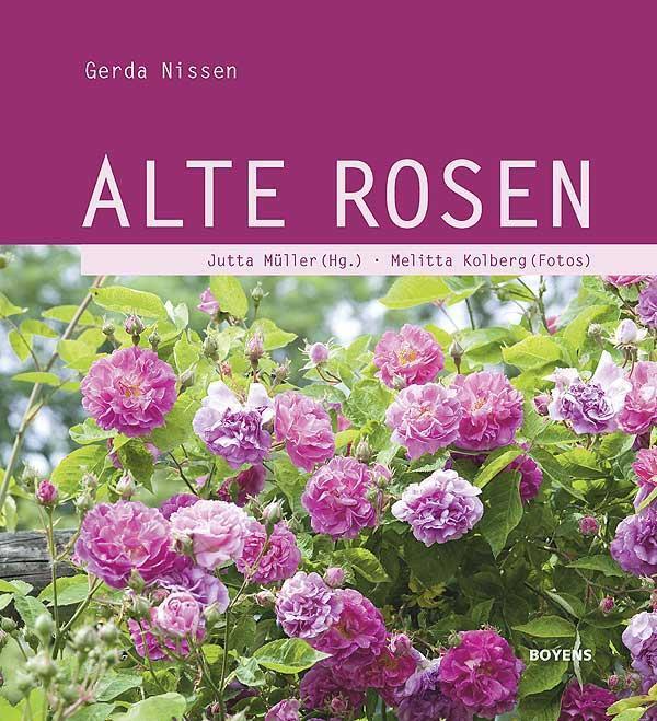 Alte Rosen | Gerda Nissen | 2011 | deutsch - Boyens Buchverlag