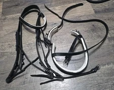 Dressage Bridle