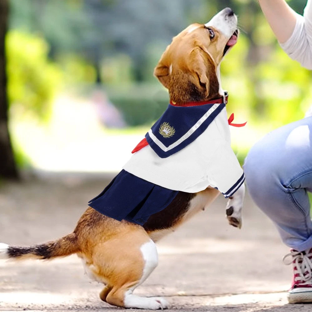 VETEMENTS Vestiti per Animali Carino Gatto Costume Gonne Autunno Cucciolo Vestito