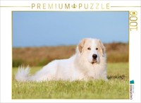 Calvendo Puzzle PyrenäEnberghund | 1000 Teile Lege-GrößE 64 × 48 Cm Foto-Puzzle