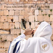 Jewish Shofar 12-14 Inch Ram Horn Blowing Synagogue Prayer