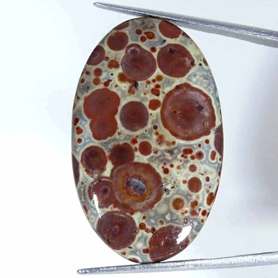 23,60 Ct Natürlicher Asteroid Jasper Oval Cabochon Losem Edelstein