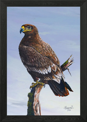 Gerahmtes Wandbild Steppenadler Poster Leinwanddruck Bild