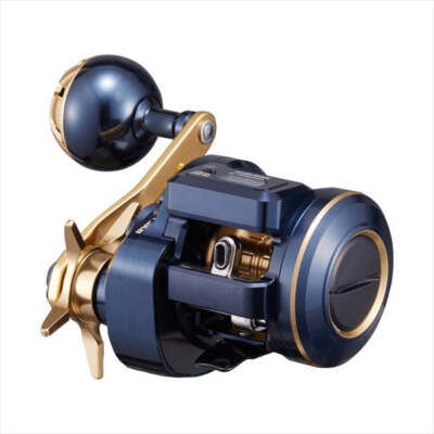 Daiwa 21 Saltiga IC 100(Right Handle) | eBay