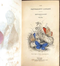 1835 Duncan NATURAL HISTORY of BRITISH BUTTERFLIES hb/246pp/35 Plates