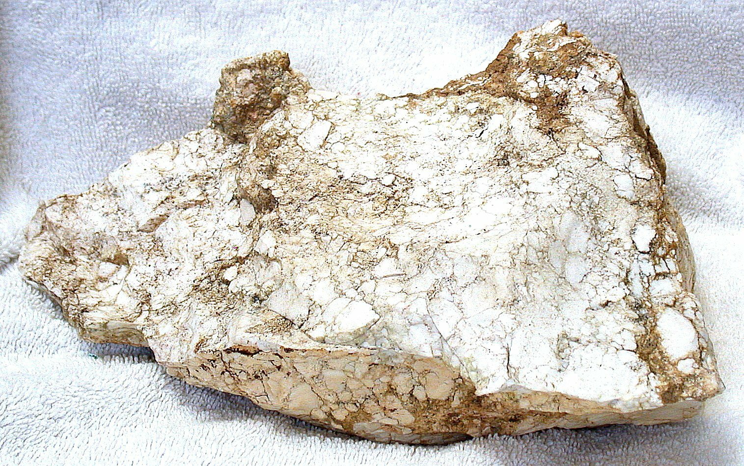 Picture 6 of 6