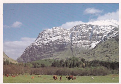 GLENCOE ~ SPÄTE FRÜHLING IST EINE SCHÖNE ZEIT, UM DAS HOCHLAND ZU BESUCHEN ~ POST DATIERT 1994