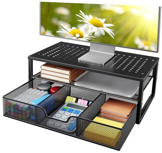 2 Tier Monitor Stand, Metal Monitor Riser with Storage, Computer Desk